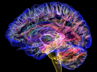 猛操屄视频大脑植入物有助于严重头部损伤恢复